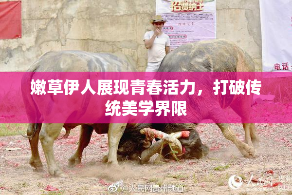 嫩草伊人展现青春活力，打破传统美学界限