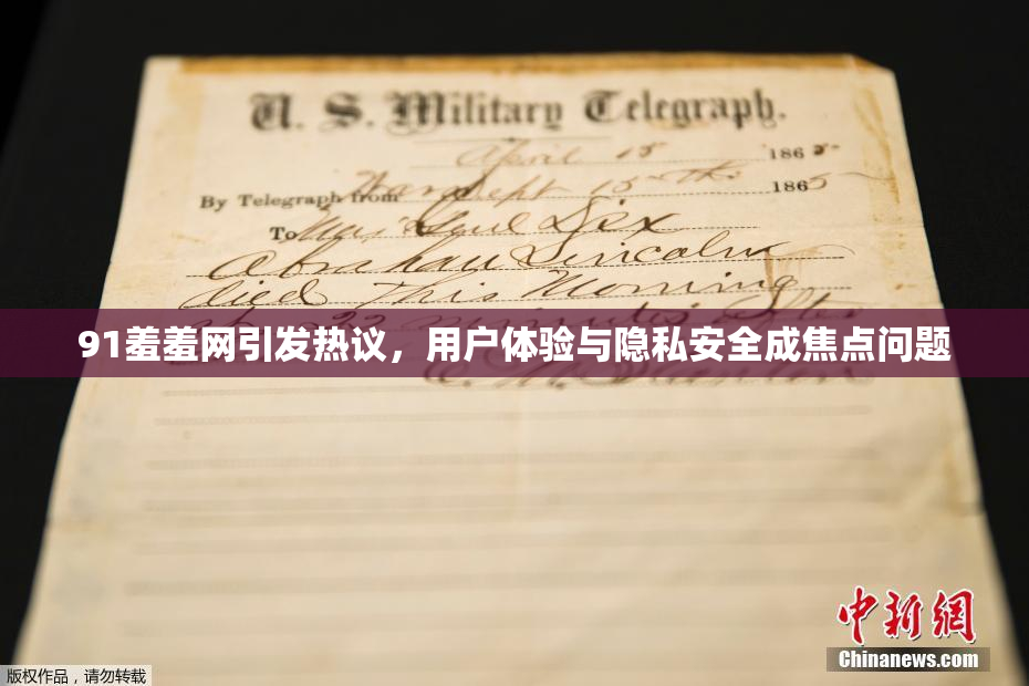91羞羞网引发热议，用户体验与隐私安全成焦点问题