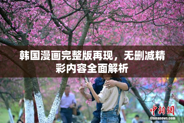 韩国漫画完整版再现，无删减精彩内容全面解析