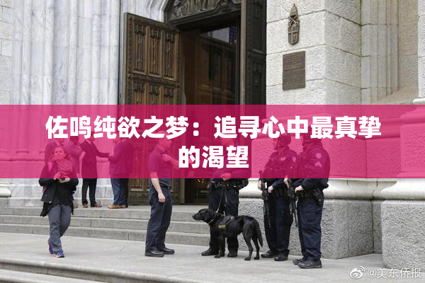 佐鸣纯欲之梦：追寻心中最真挚的渴望