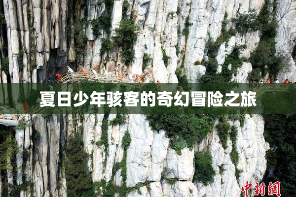 夏日少年骇客的奇幻冒险之旅