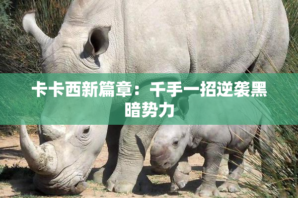 卡卡西新篇章：千手一招逆袭黑暗势力