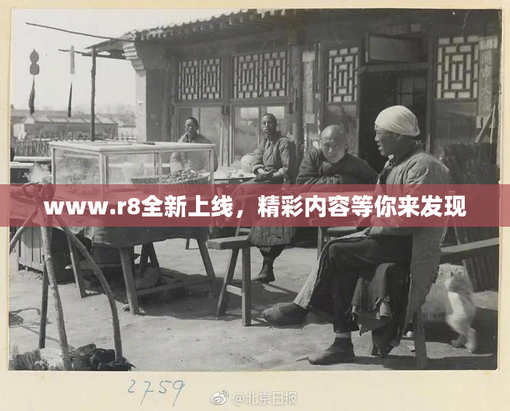 www.r8全新上线，精彩内容等你来发现