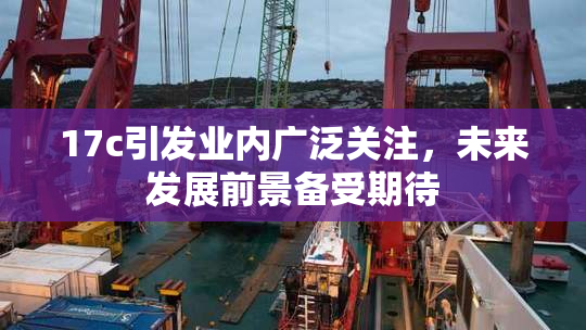 17c引发业内广泛关注，未来发展前景备受期待