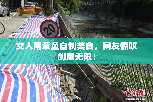 女人用章鱼自制美食，网友惊叹创意无限！