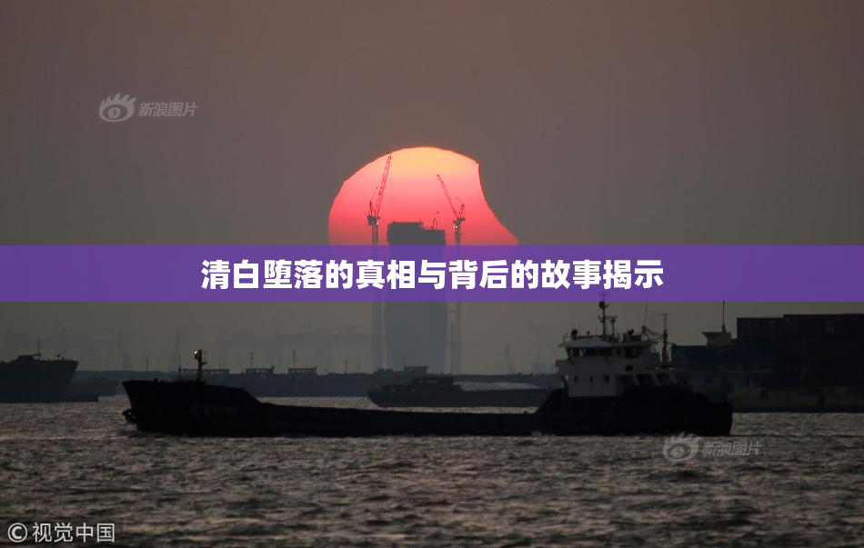 清白堕落的真相与背后的故事揭示