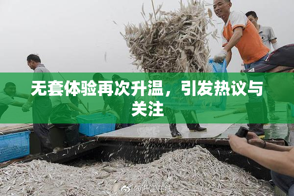 无套体验再次升温，引发热议与关注