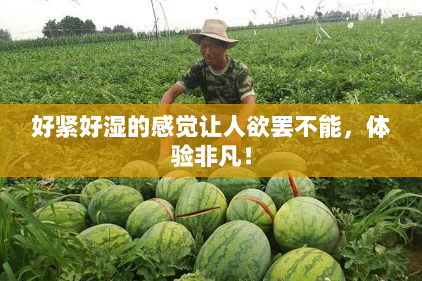 好紧好湿的感觉让人欲罢不能，体验非凡！