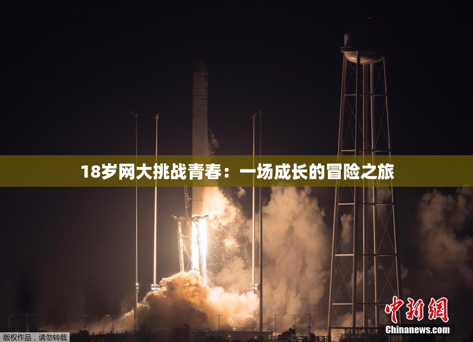 18岁网大挑战青春：一场成长的冒险之旅