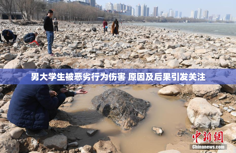 男大学生被恶劣行为伤害 原因及后果引发关注