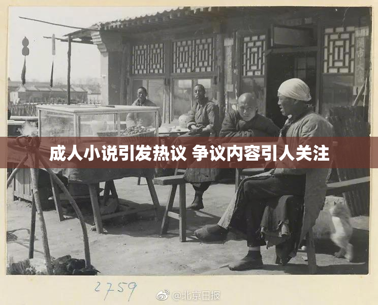 成人小说引发热议 争议内容引人关注