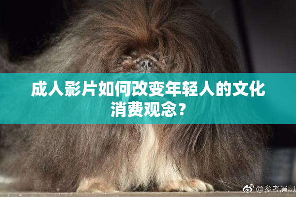 成人影片如何改变年轻人的文化消费观念？