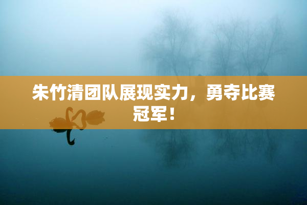 朱竹清团队展现实力，勇夺比赛冠军！