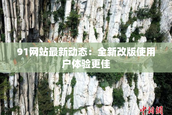 91网站最新动态：全新改版使用户体验更佳