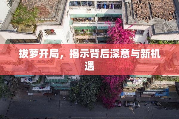 拔萝开局，揭示背后深意与新机遇