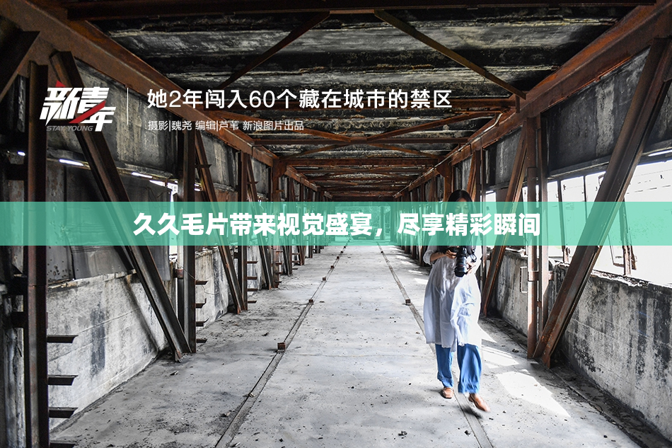 久久毛片带来视觉盛宴，尽享精彩瞬间