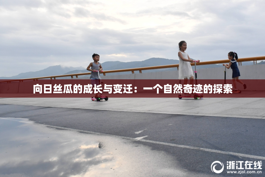 向日丝瓜的成长与变迁：一个自然奇迹的探索