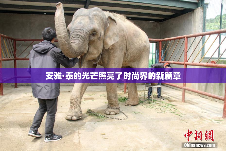 安雅·泰的光芒照亮了时尚界的新篇章