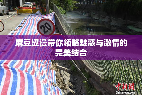 麻豆涩漫带你领略魅惑与激情的完美结合