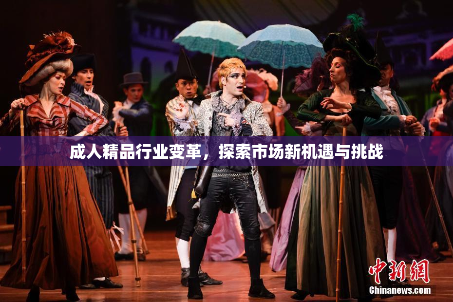 成人精品行业变革，探索市场新机遇与挑战