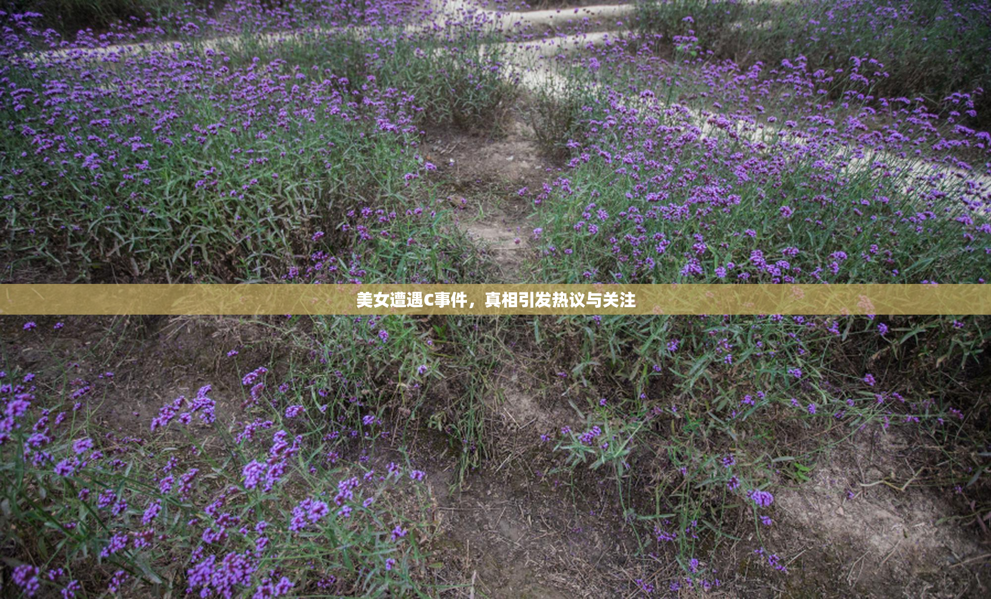 美女遭遇C事件，真相引发热议与关注