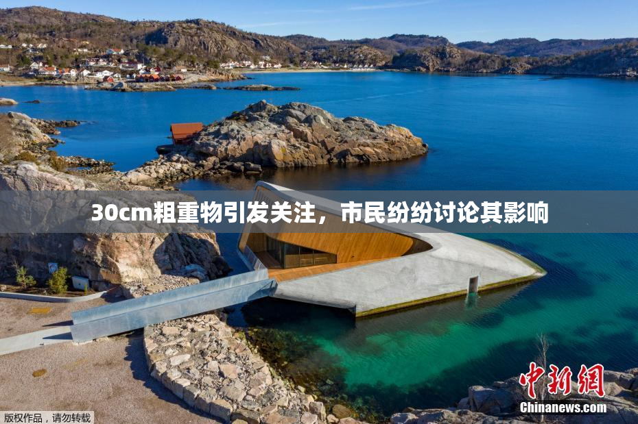 30cm粗重物引发关注，市民纷纷讨论其影响