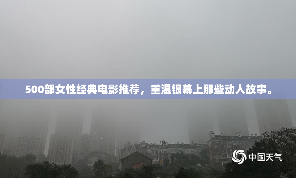 500部女性经典电影推荐，重温银幕上那些动人故事。