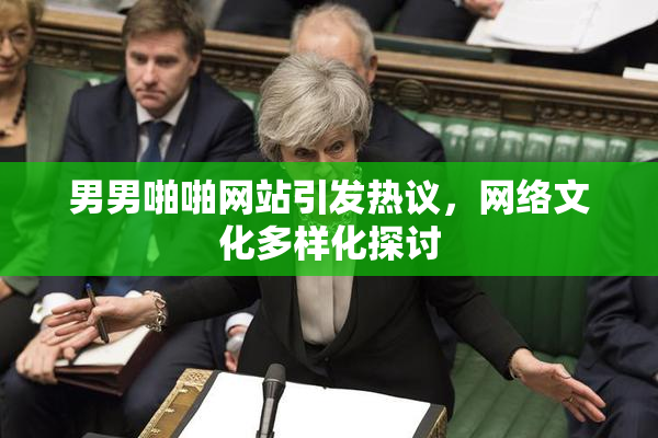 男男啪啪网站引发热议，网络文化多样化探讨