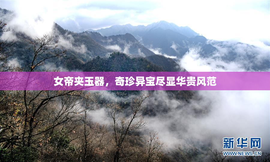 女帝夹玉器，奇珍异宝尽显华贵风范
