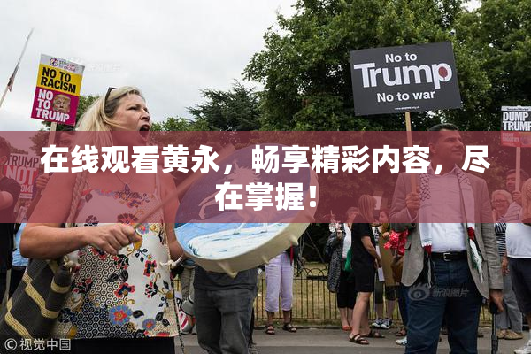 在线观看黄永，畅享精彩内容，尽在掌握！