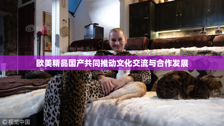 欧美精品国产共同推动文化交流与合作发展