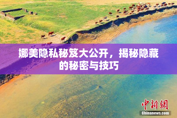 娜美隐私秘笈大公开，揭秘隐藏的秘密与技巧