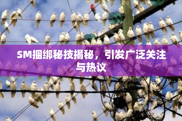 SM捆绑秘技揭秘，引发广泛关注与热议