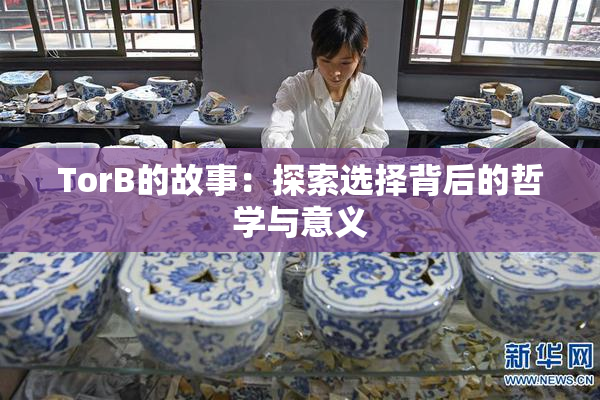 TorB的故事：探索选择背后的哲学与意义