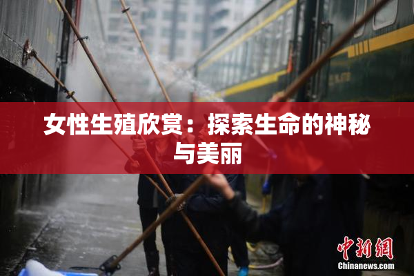 女性生殖欣赏：探索生命的神秘与美丽