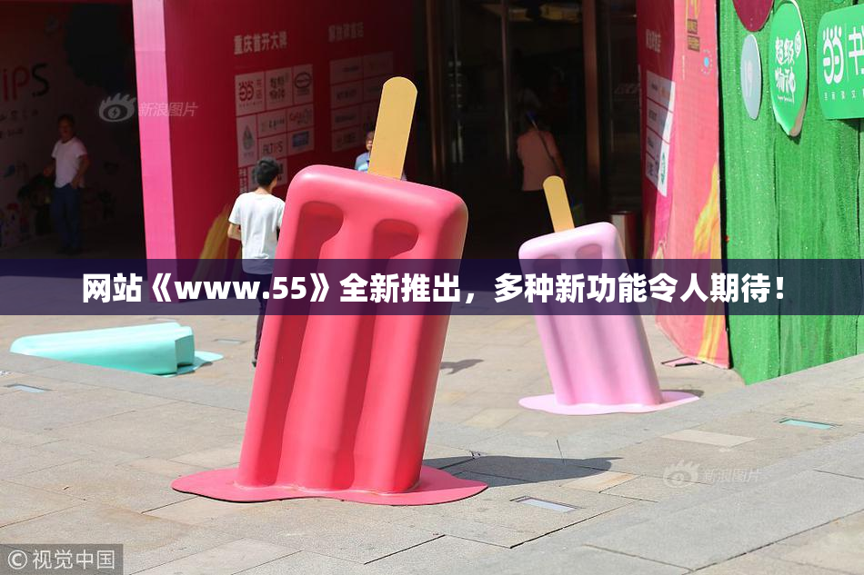 网站《www.55》全新推出，多种新功能令人期待！