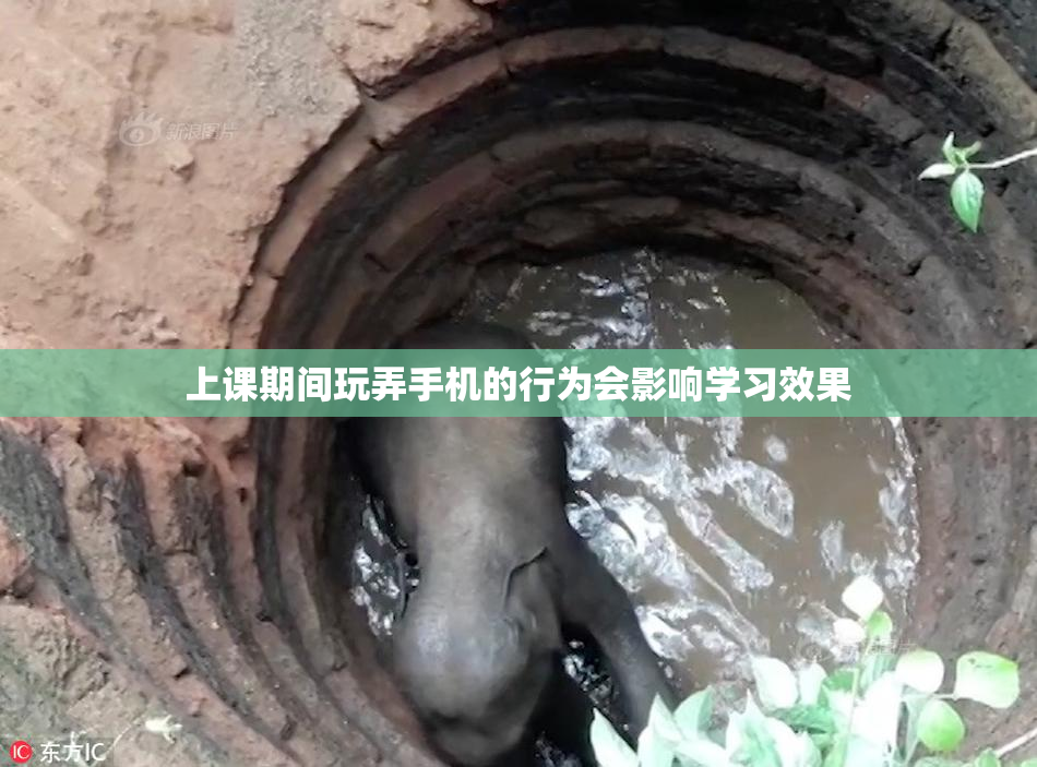 上课期间玩弄手机的行为会影响学习效果