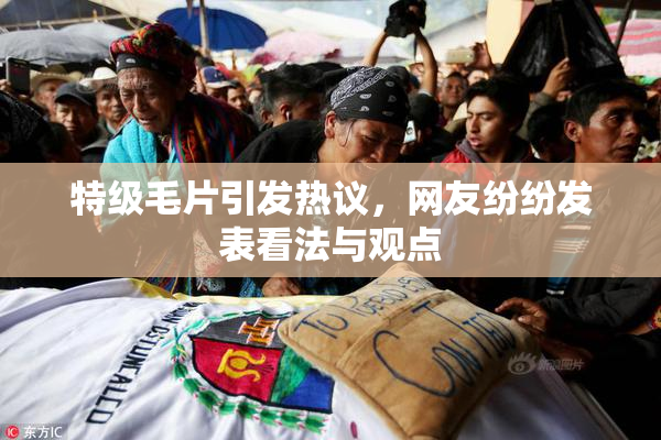特级毛片引发热议，网友纷纷发表看法与观点