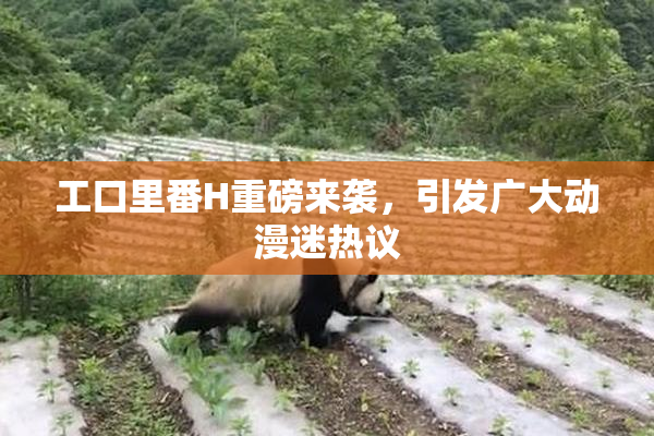 工口里番H重磅来袭，引发广大动漫迷热议