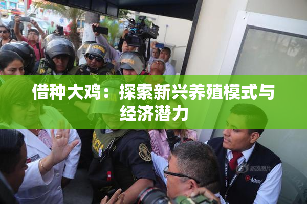 借种大鸡：探索新兴养殖模式与经济潜力