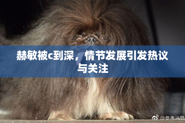 赫敏被c到深，情节发展引发热议与关注