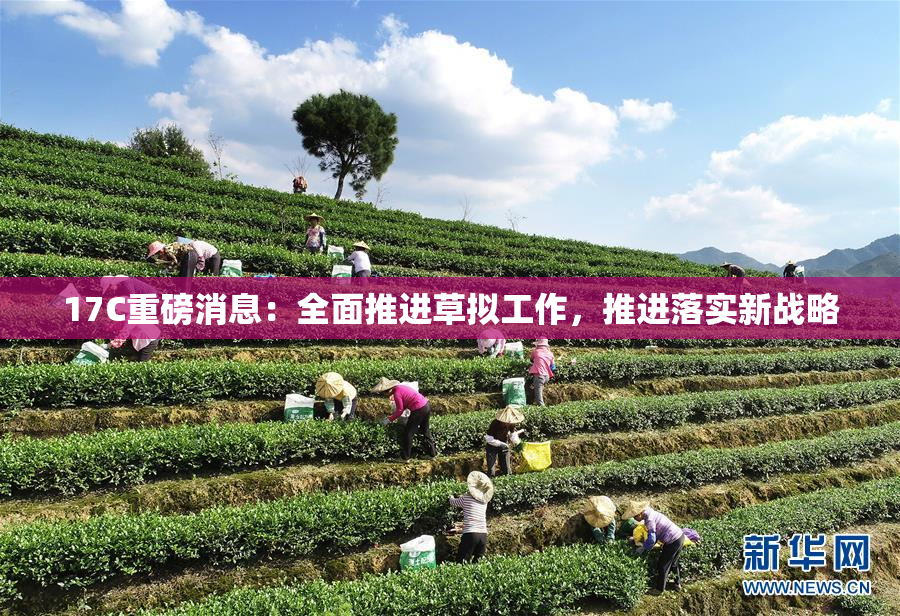 17C重磅消息：全面推进草拟工作，推进落实新战略
