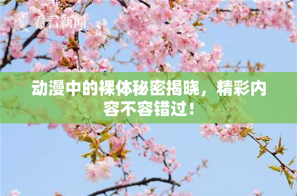 动漫中的裸体秘密揭晓，精彩内容不容错过！