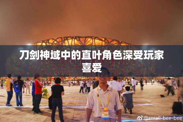刀剑神域中的直叶角色深受玩家喜爱