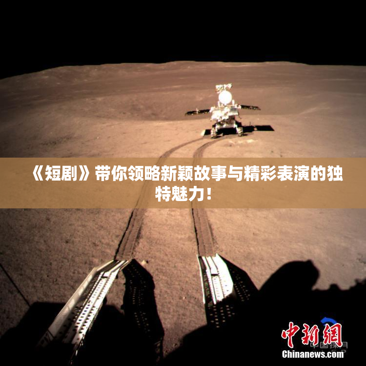 《短剧》带你领略新颖故事与精彩表演的独特魅力！