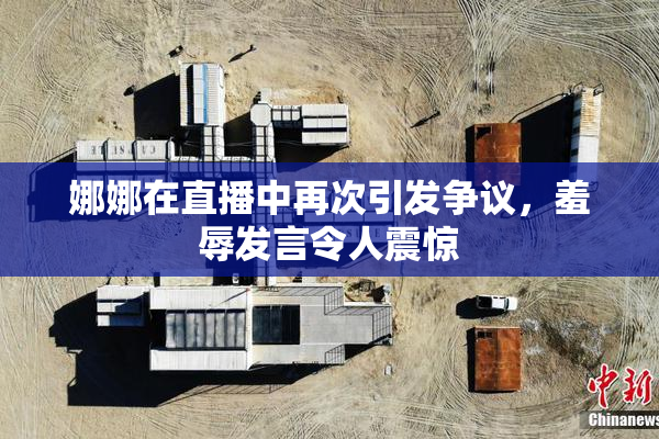 娜娜在直播中再次引发争议，羞辱发言令人震惊