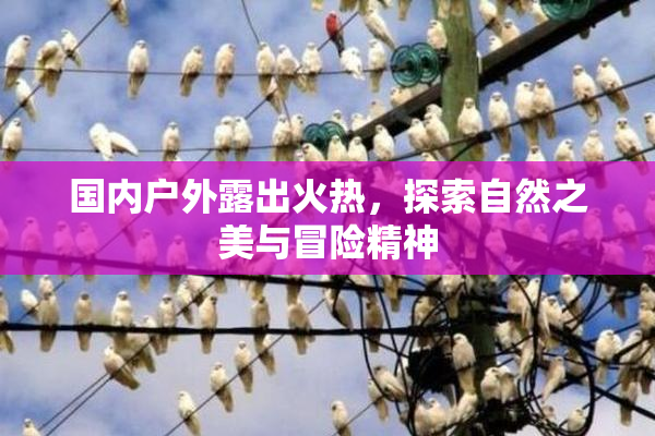 国内户外露出火热，探索自然之美与冒险精神