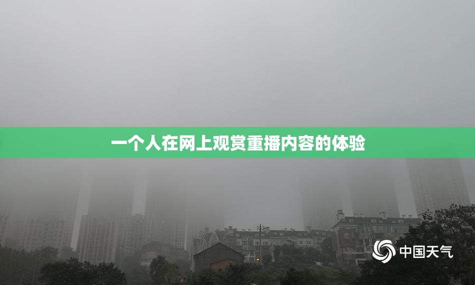 一个人在网上观赏重播内容的体验