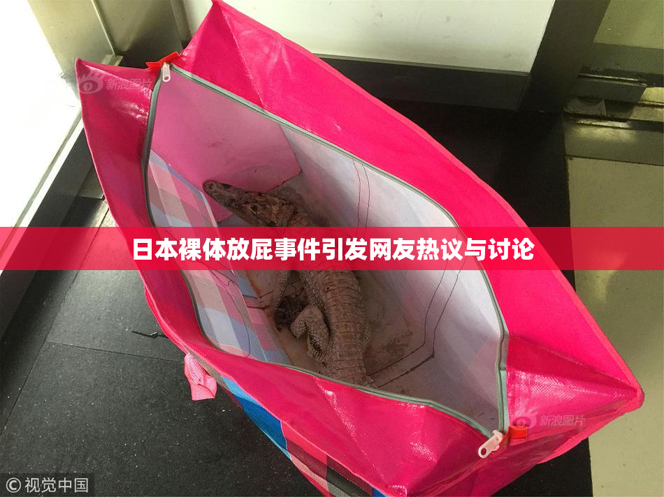 日本裸体放屁事件引发网友热议与讨论