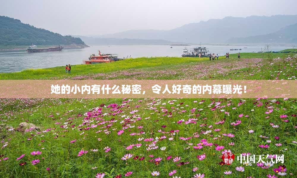 她的小内有什么秘密，令人好奇的内幕曝光！
